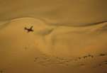 Namibie - flying safari