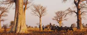 Zambie
South Luangwa