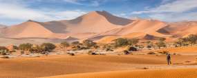Namibie
Désert du Namib