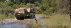 Safari bivouac au Botswana