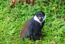 Rwanda