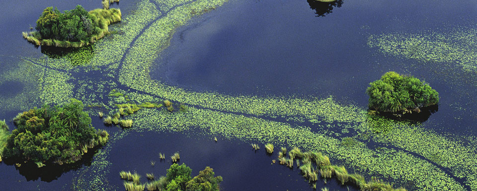 Le Delta de l'Okavango vu du Ciel © OT Botswana