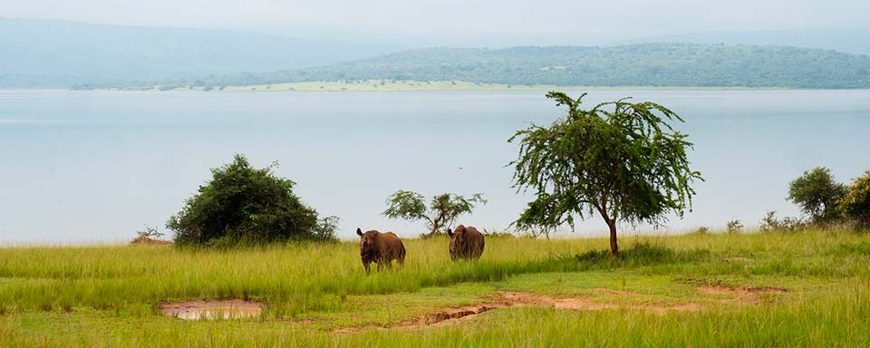 Rwanda - Parc national d'Akagera