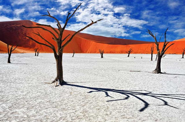 Namibie - Désert du Namib - Deadvlei ©Shutterstock, Oleg Znamenskiy
