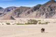 Namibie - Damaraland ©Shutterstock, Francesco Dazzi