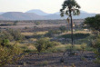 Namibie - Damaraland - Palmwag Campsite ©Gondwana Collection