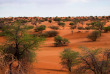 Namibie - Désert du Kalahari ©Shutterstock, BC Cornelia