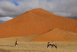 Namibie - Désert du Namib - Dunes ©Shutterstock, François Loubster