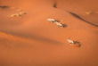 Namibie - Désert du Namib - Sossusvlei ©Shutterstock, Janelle Lugge