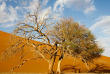 Namibie - Désert du Namib - Sossusvlei ©Hors Pistes