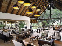 Afrique du Sud - Londolozi Game Reserve - Londolozi Tree Camp
