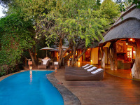 Afrique du Sud - Madikwe Game Reserve - Motswiri Private Safari Lodge