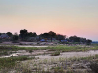 Afrique du Sud - MalaMala Game Reserve - MalaMala Camp