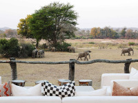 Afrique du Sud - MalaMala Game Reserve - MalaMala Sable Camp