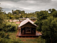 Afrique du Sud - Manyeleti Private Game Reserve - Honeyguide Khoka Moya Camp