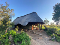 Afrique du Sud - Manyeleti Game Reserve - Pungwe Safari Camp