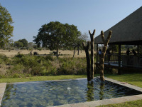 Afrique du Sud - Sabi Sabi Private Game Reserve - Sabi Sabi Bush Lodge