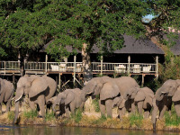 Afrique du Sud - Sabi Sabi Private Game Reserve - Sabi Sabi Selati Camp