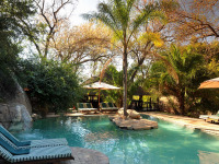 Afrique du Sud - Sabi Sands Game Reserve - Idube Game Reserve