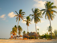 Tanzanie - Mafia Island - Basecamp Mafia Island