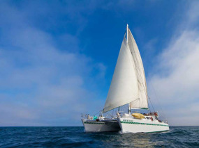 Equateur - Galapagos - Exemple de bateau catégorie charme - Yacht Nemo 2 