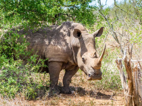 Eswatini - Swaziland - ©Shutterstock, Peter John Watson