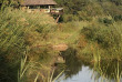 Afrique du Sud - Kruger - Londolozi Founders Camp