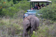Afrique du Sud - Amakhala Game Reserve - Hlosi Game Lodge