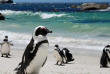 Afrique du Sud - Cape Town