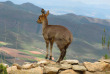Afrique du Sud - Oudtshoorn - Col de Swartberg
