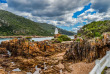 Afrique du Sud - La Route des Jardins - ©Shutterstock, Shams F Amir