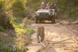 Afrique du Sud - Kapama Private Game Reserve - Kapama Buffalo Camp