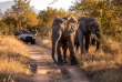Afrique du Sud - Kapama Private Game Reserve - Kapama Buffalo Camp