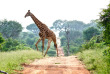 Afrique du Sud - Kapama Private Game Reserve - Kapama Karula