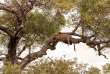Afrique du Sud - Kapama Private Game Reserve - Kapama Karula