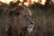 Afrique du Sud - Kapama Private Game Reserve - Kapama Karula