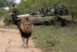 Afrique du Sud - Kapama Private Game Reserve - Kapama Southern Camp