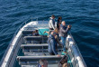Afrique du Sud - Knysna - Croisière Observation des baleines à Knysna - ©Ocean Odyseey