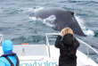 Afrique du Sud - Knysna - Croisière Observation des baleines à Knysna - ©Ocean Odyseey