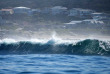 Afrique Du Sud - Knysna - Eco Marine Tour - ©Océan Odyseey