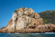 Afrique Du Sud - Knysna - Eco Marine Tour - ©Océan Odyseey