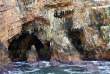 Afrique Du Sud - Knysna - Eco Marine Tour - ©Océan Odyseey