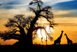 Afrique du Sud - Kruger passion ©Shutterstock SW Stock