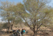 Afrique du Sud - Kruger walking safari