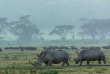 Afrique du Sud - Parc national du Kruger ©Shutterstock, Costas Anton Dumitrescu