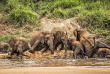 Afrique du Sud - Parc national du Kruger ©Shutterstock