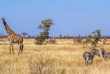 Afrique du Sud - Parc national du Kruger - ©Shutterstock, Paco Como