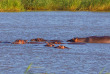 Afrique du Sud - Lake St Lucia Isimangaliso Wetlands- ©Shutterstock, Selim Kaya Photography