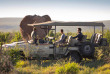 Afrique du Sud - Madikwe Game Reserve - Rhulani Safari Lodge