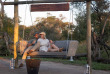 Afrique du Sud - Manyeleti Private Game Reserve - Tintswalo Safari Lodge